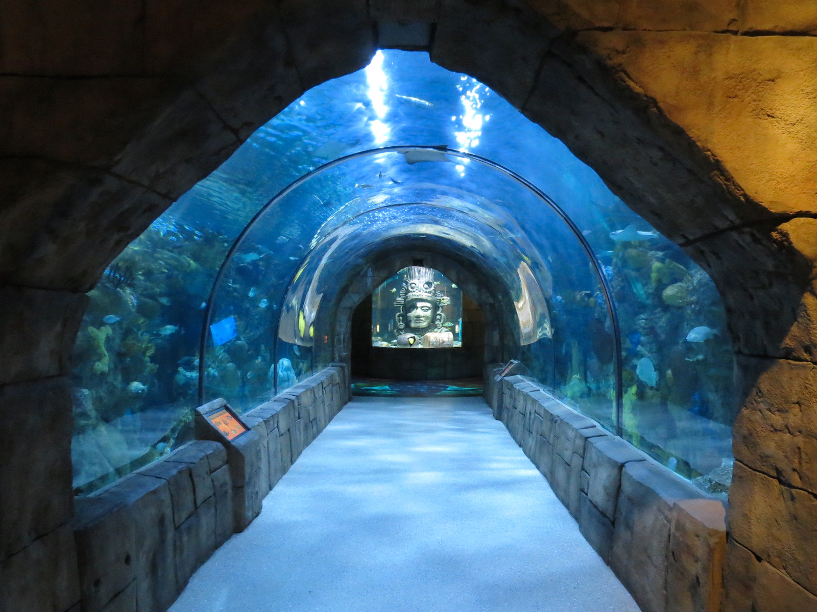 Great Maya Reef - Exhibit With Walk-through Tunnel
