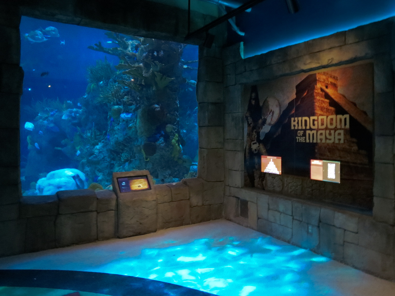 Great Maya Reef - Exhibit With Walk-through Tunnel
