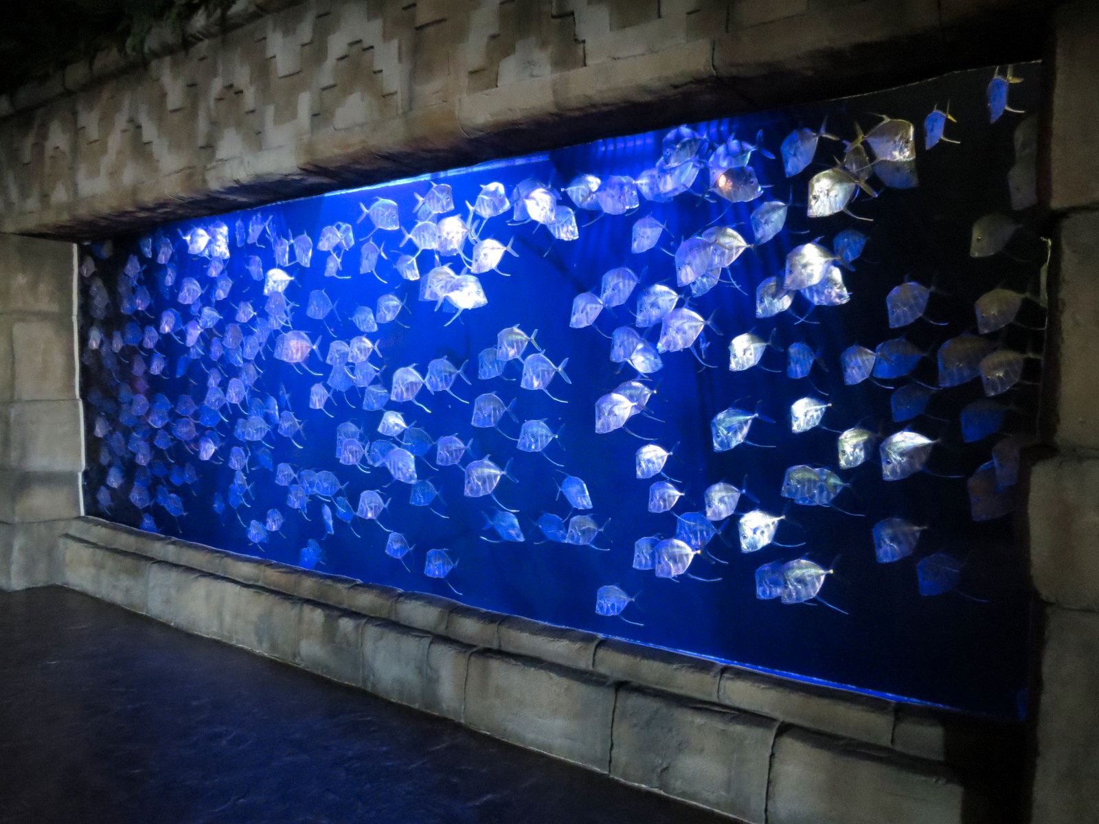 Great Maya Reef - Lookdown Exhibit