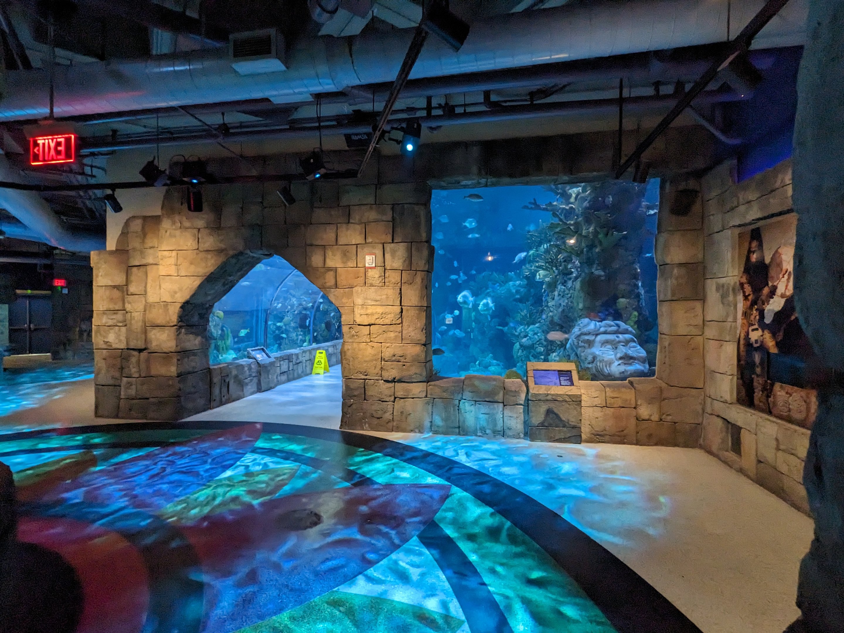 Great Mayan Reef - main tank and tunnel