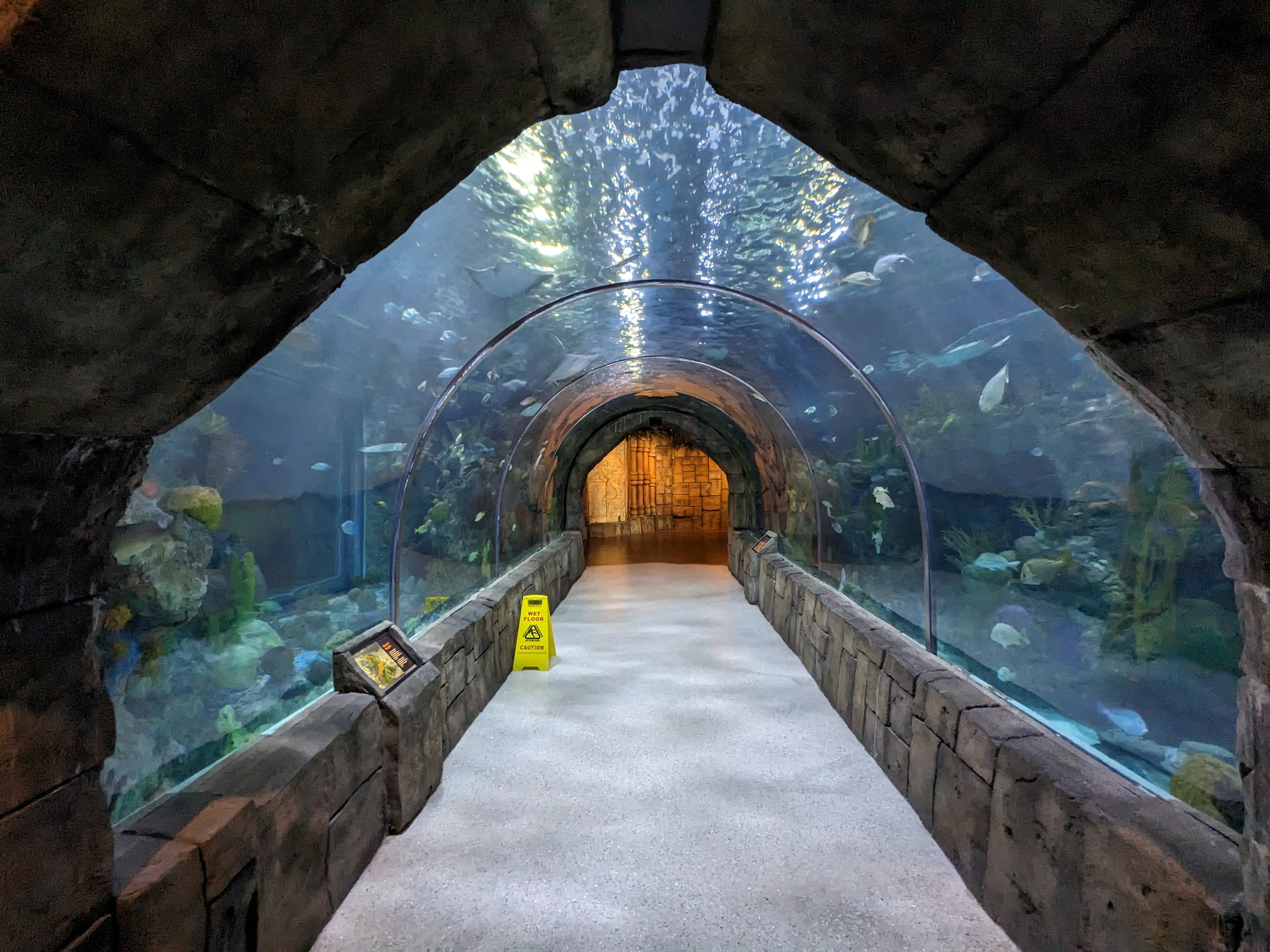 Great Mayan Reef - main tank and tunnel