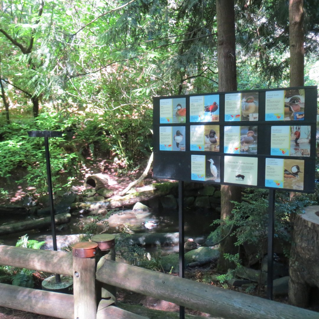 Great Northwest - Aviary