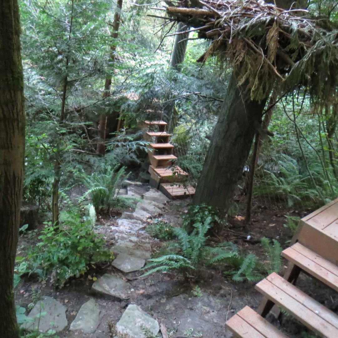 Great Northwest - Bald Eagle Exhibit