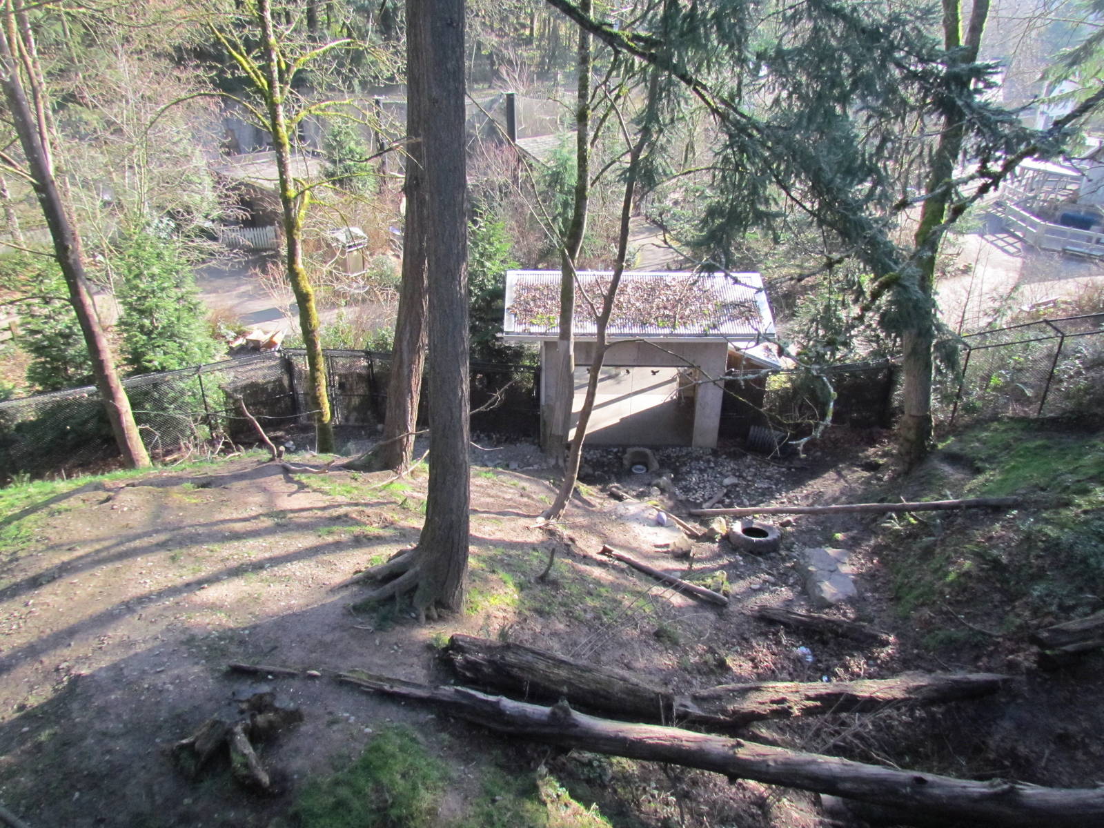 Great Northwest - Black Bear Ridge