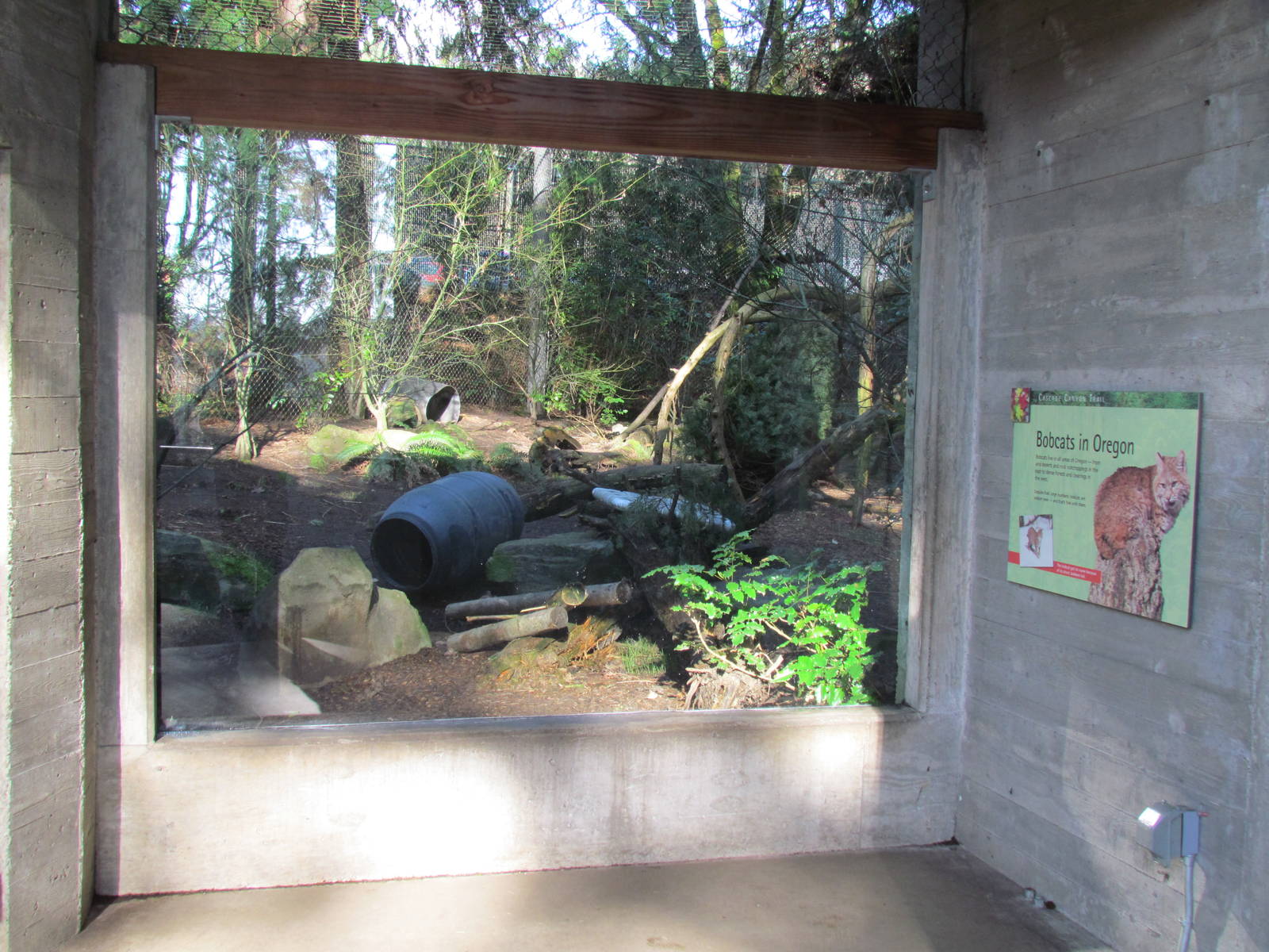 Great Northwest - Black Bear Ridge