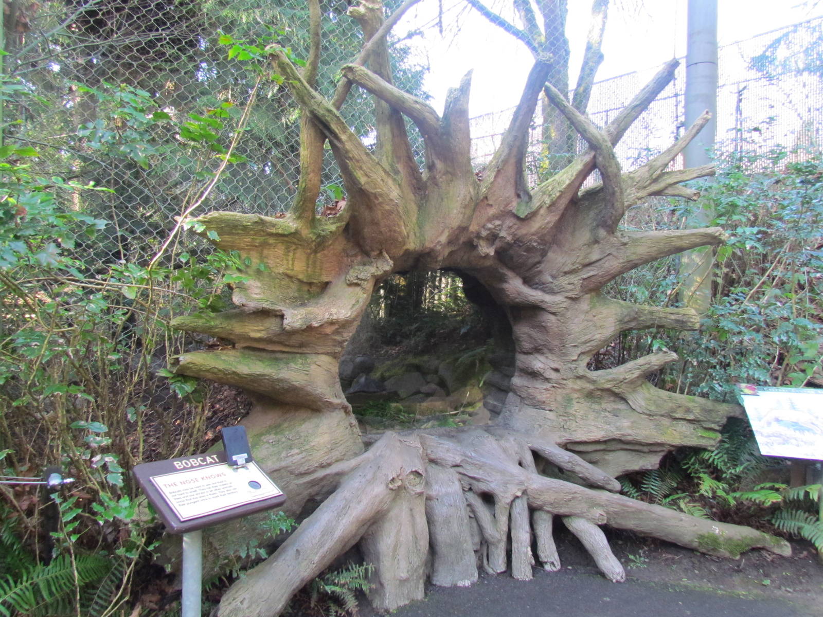 Great Northwest - Black Bear Ridge