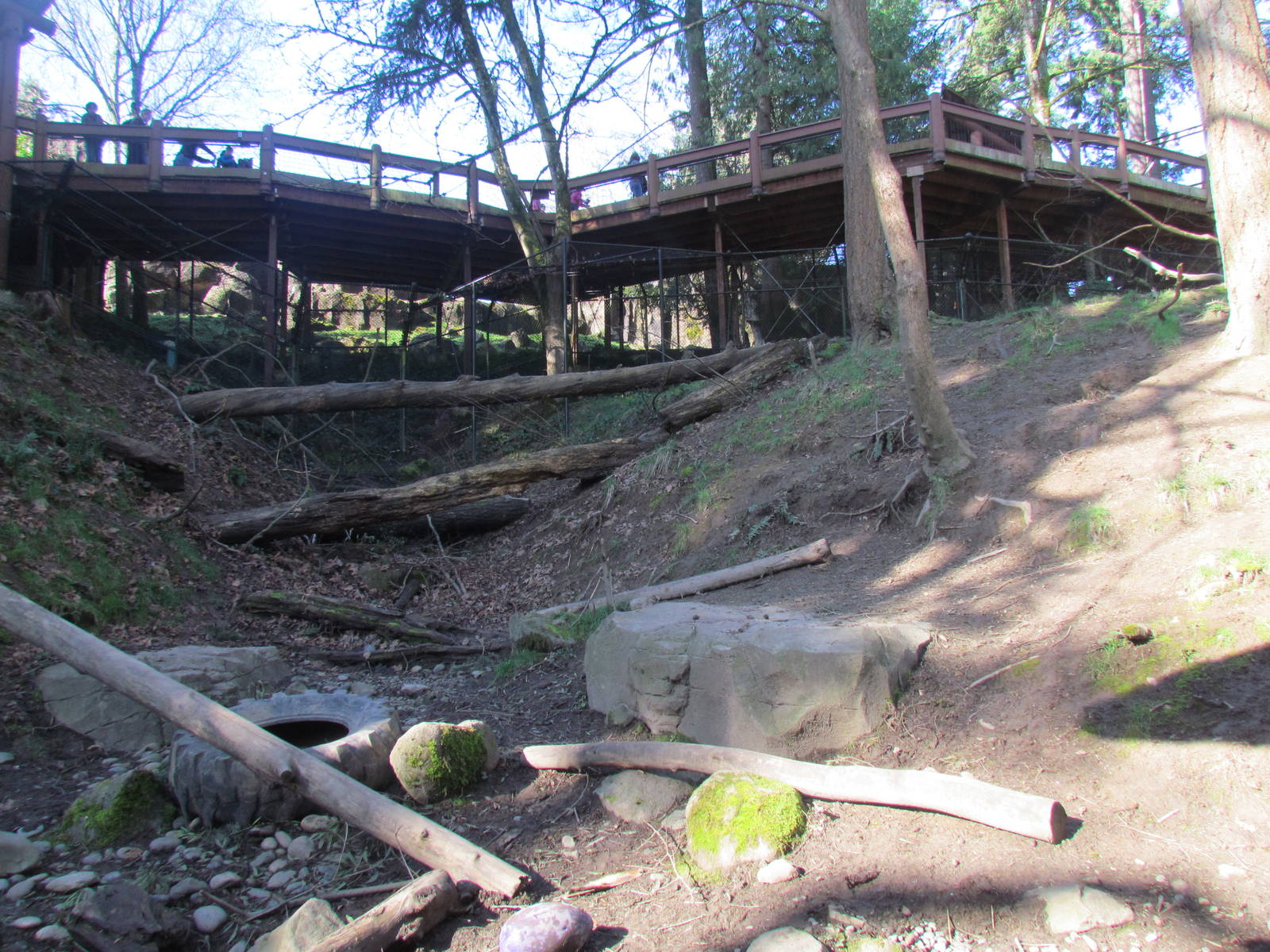 Great Northwest - Black Bear Ridge