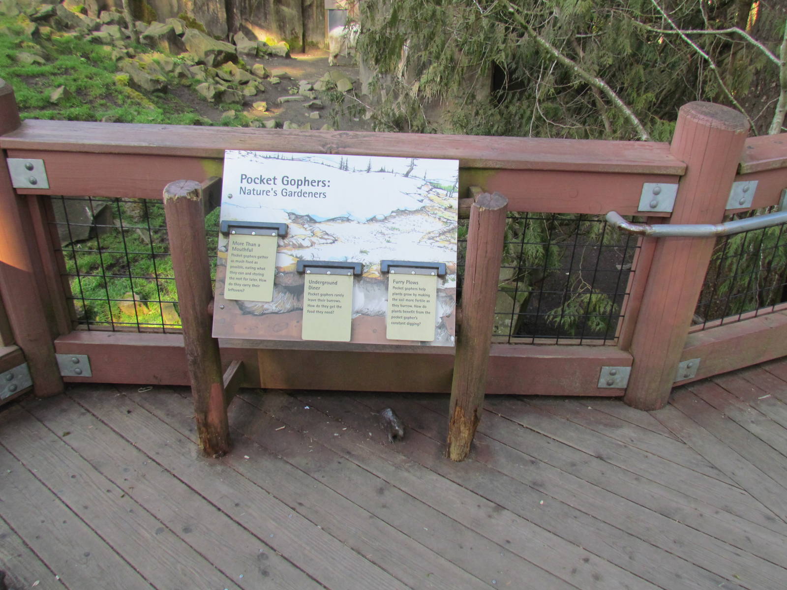 Great Northwest - Cascade Crest