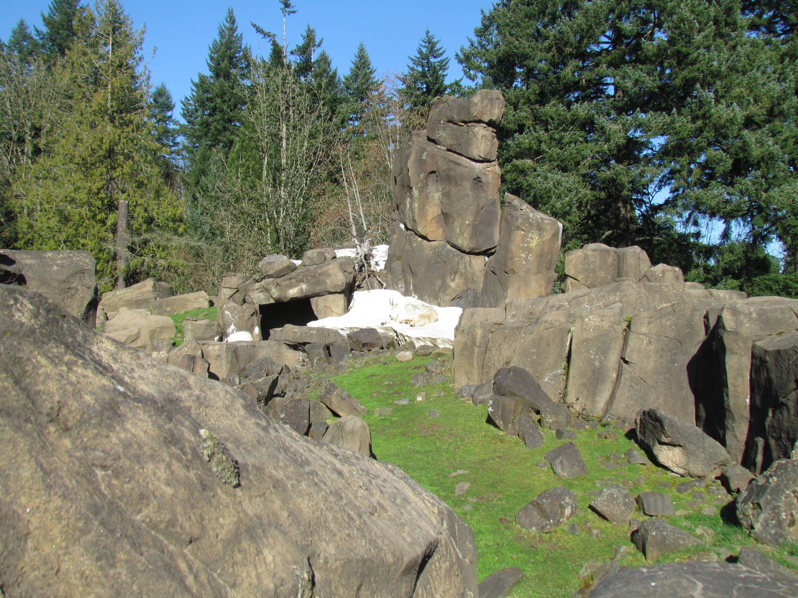 Great Northwest - Cascade Crest