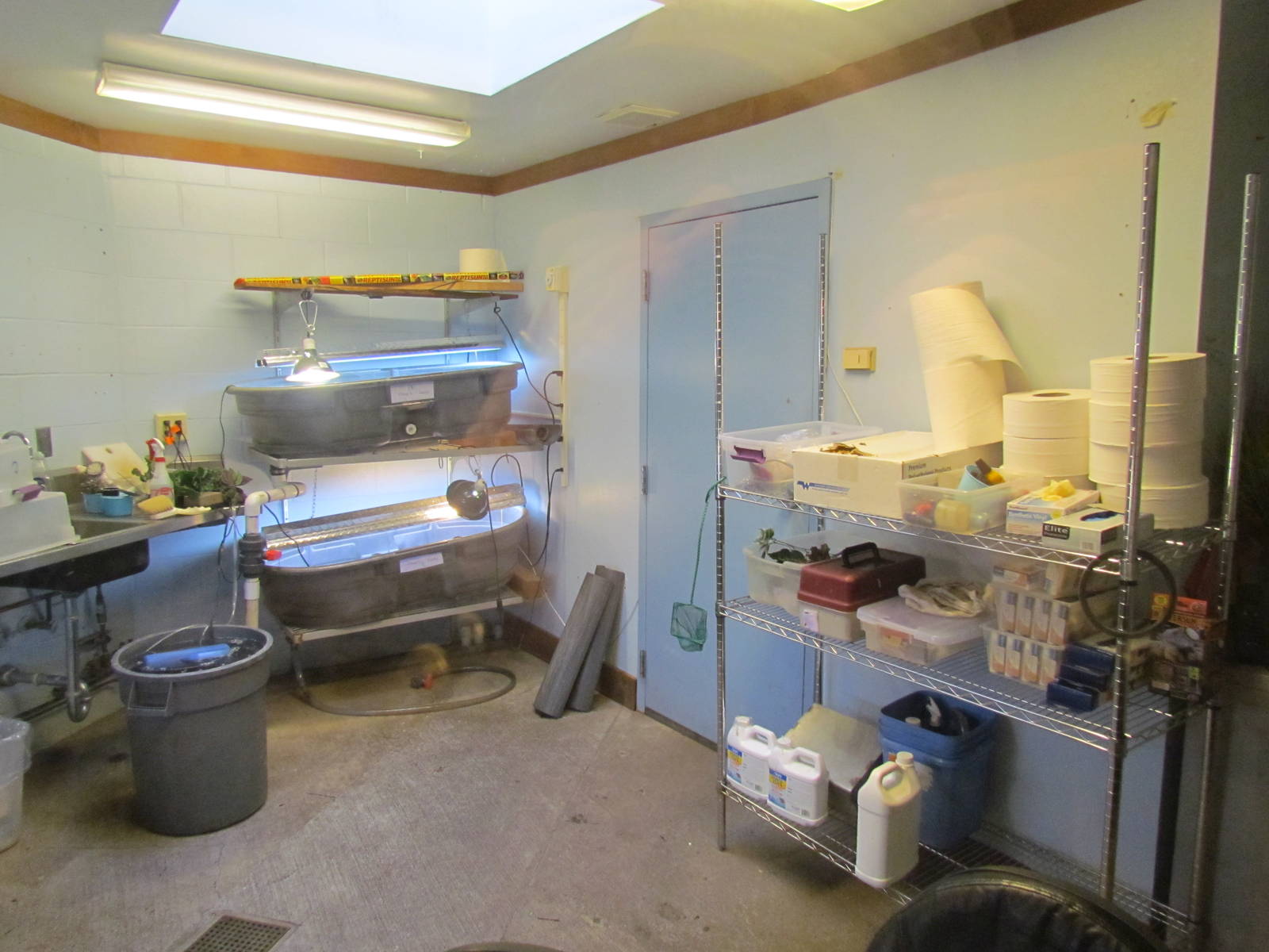 Great Northwest - Cascade Stream and Pond