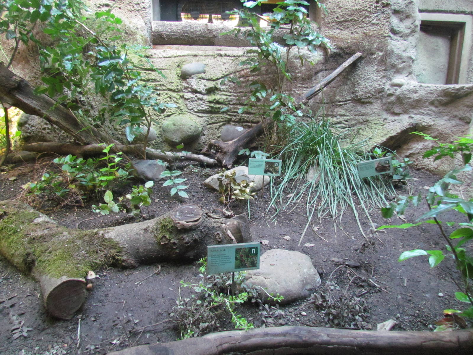 Great Northwest - Cascade Stream and Pond