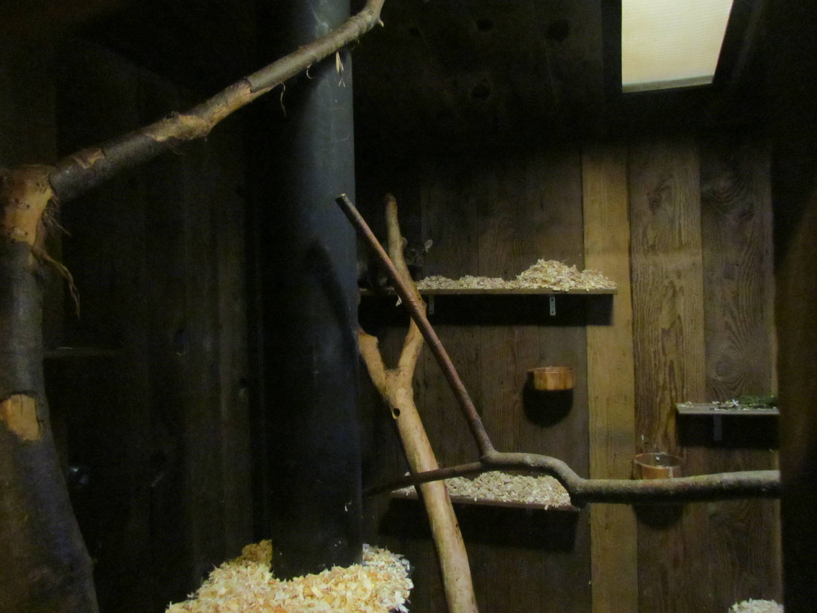 Great Northwest - Cascade Stream and Pond