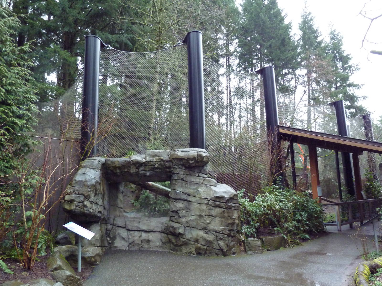 Great Northwest - Cougar Exhibit