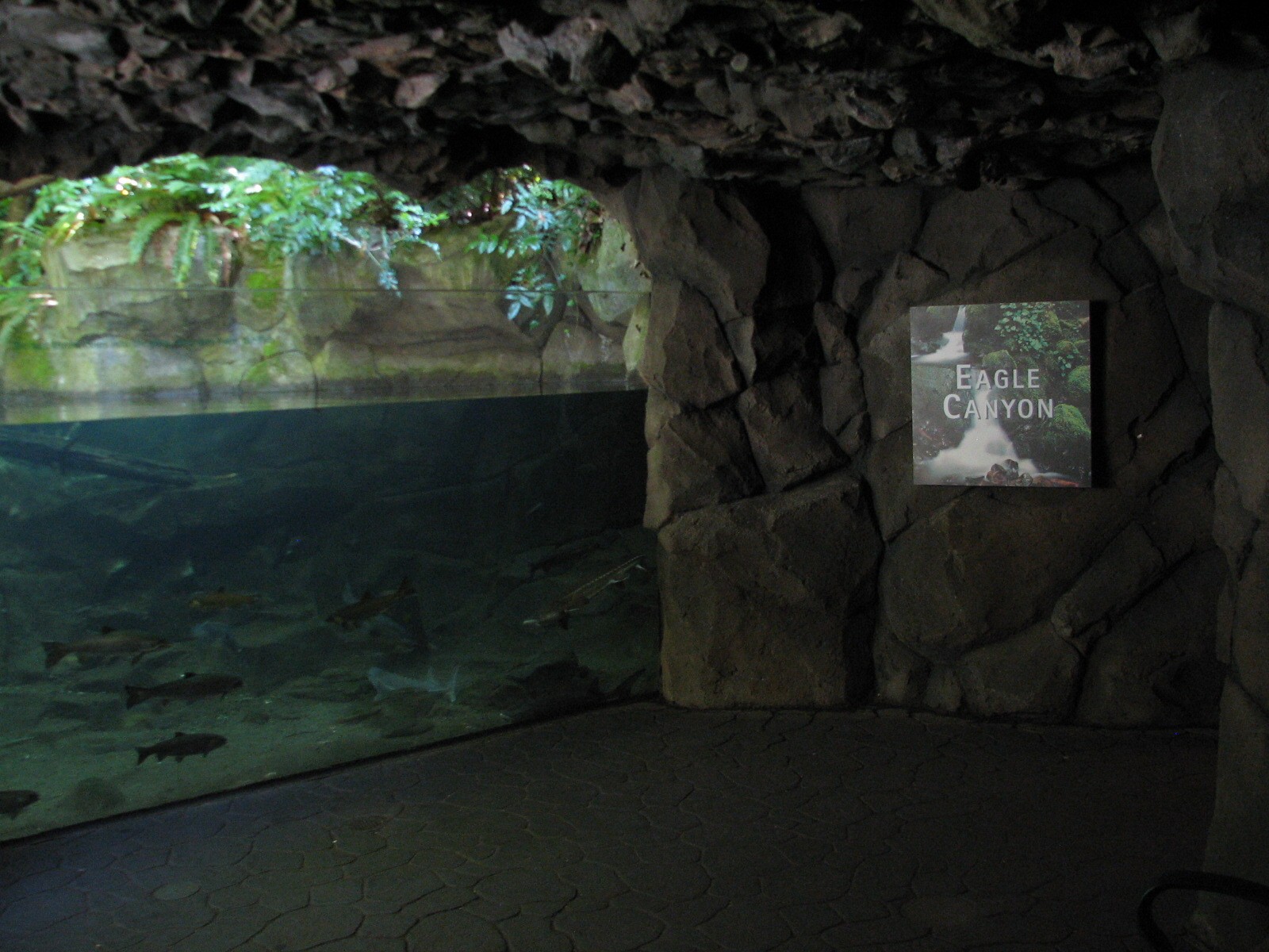 Great Northwest - Eagle Canyon Fish Exhibit