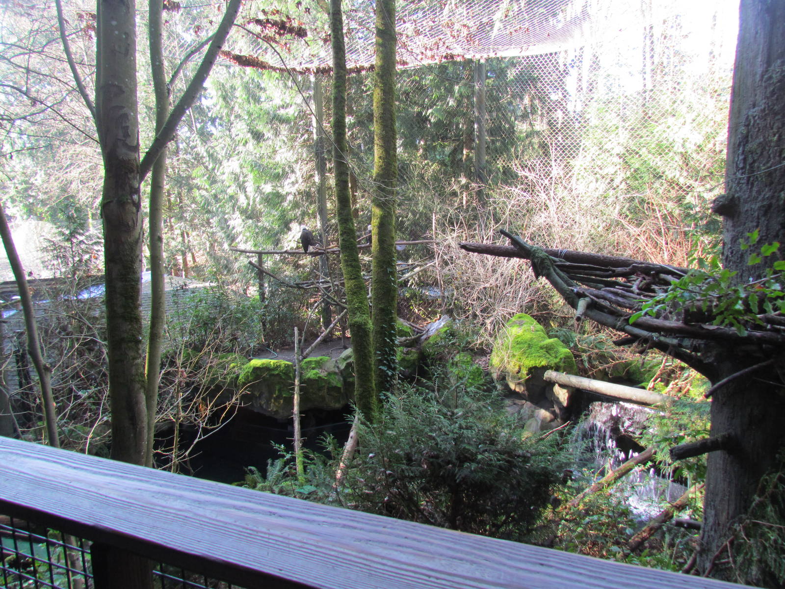 Great Northwest - Eagle Canyon