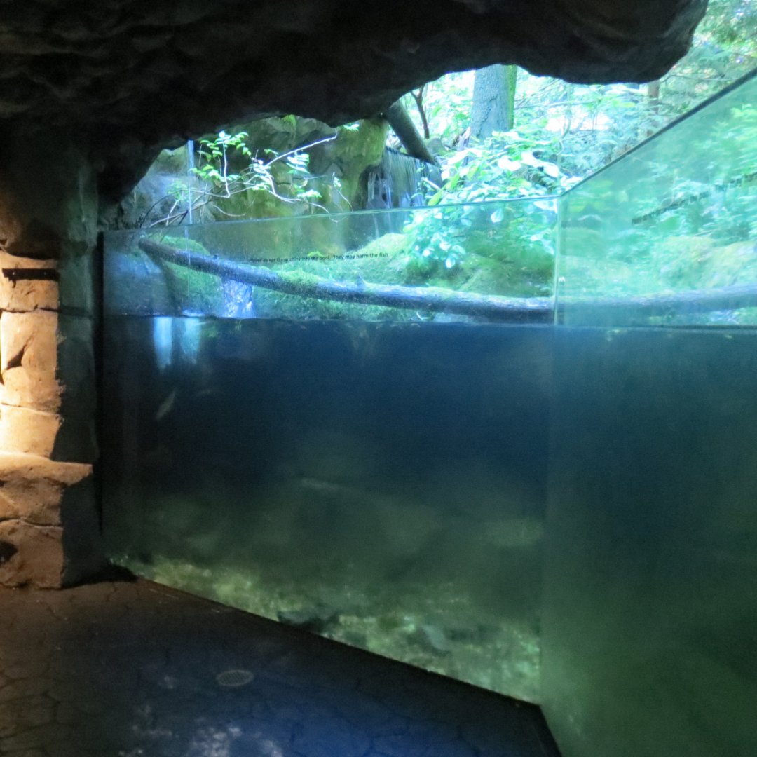Great Northwest - Eagle Exhibit Fish Habitat