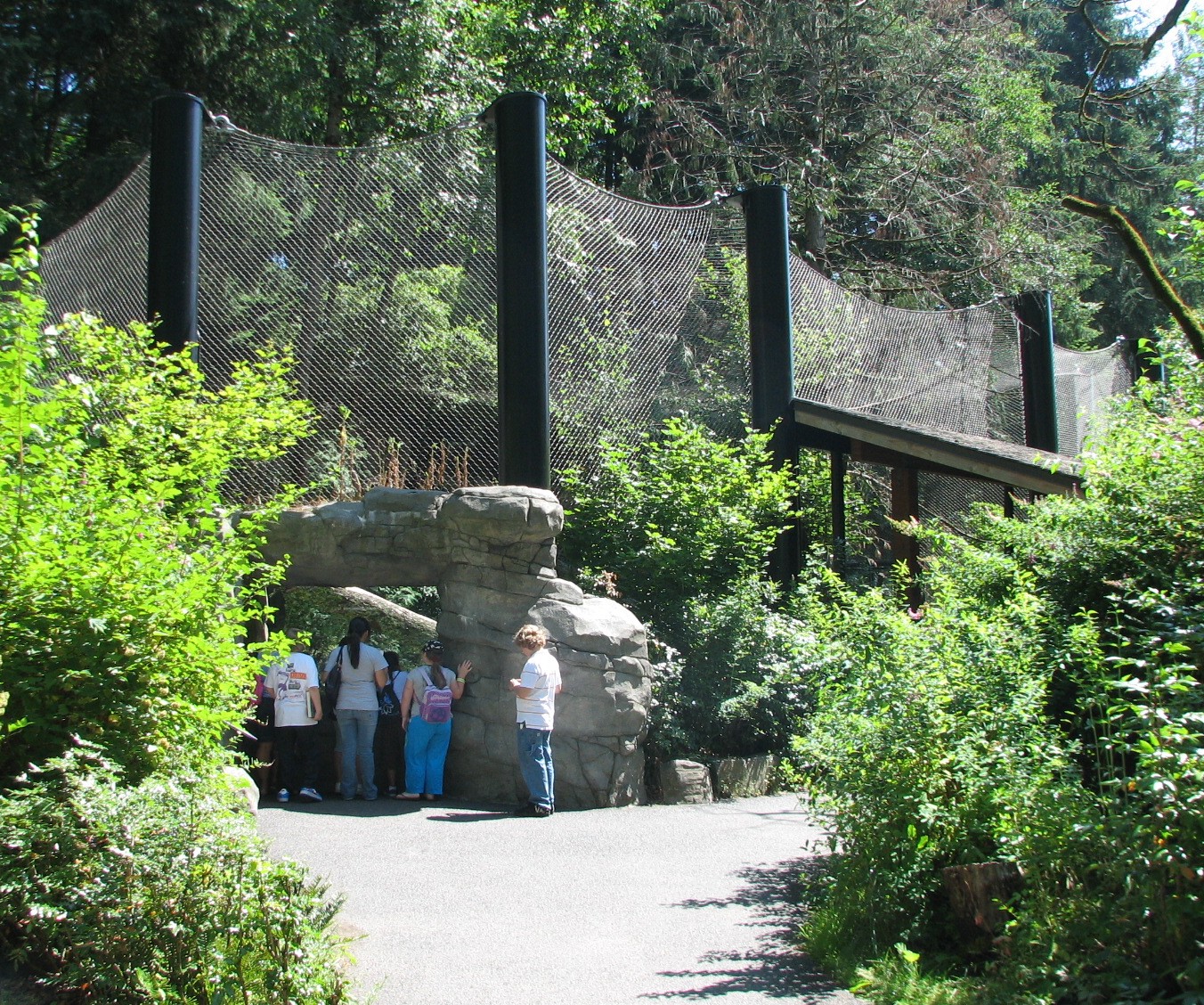 Great Northwest - Mountain Lion Exhibit