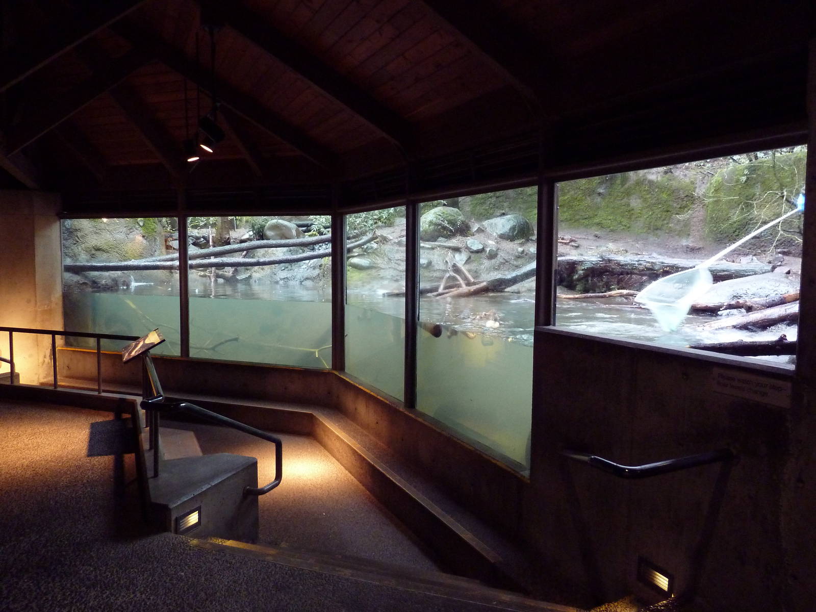 Great Northwest - River Otter Exhibit