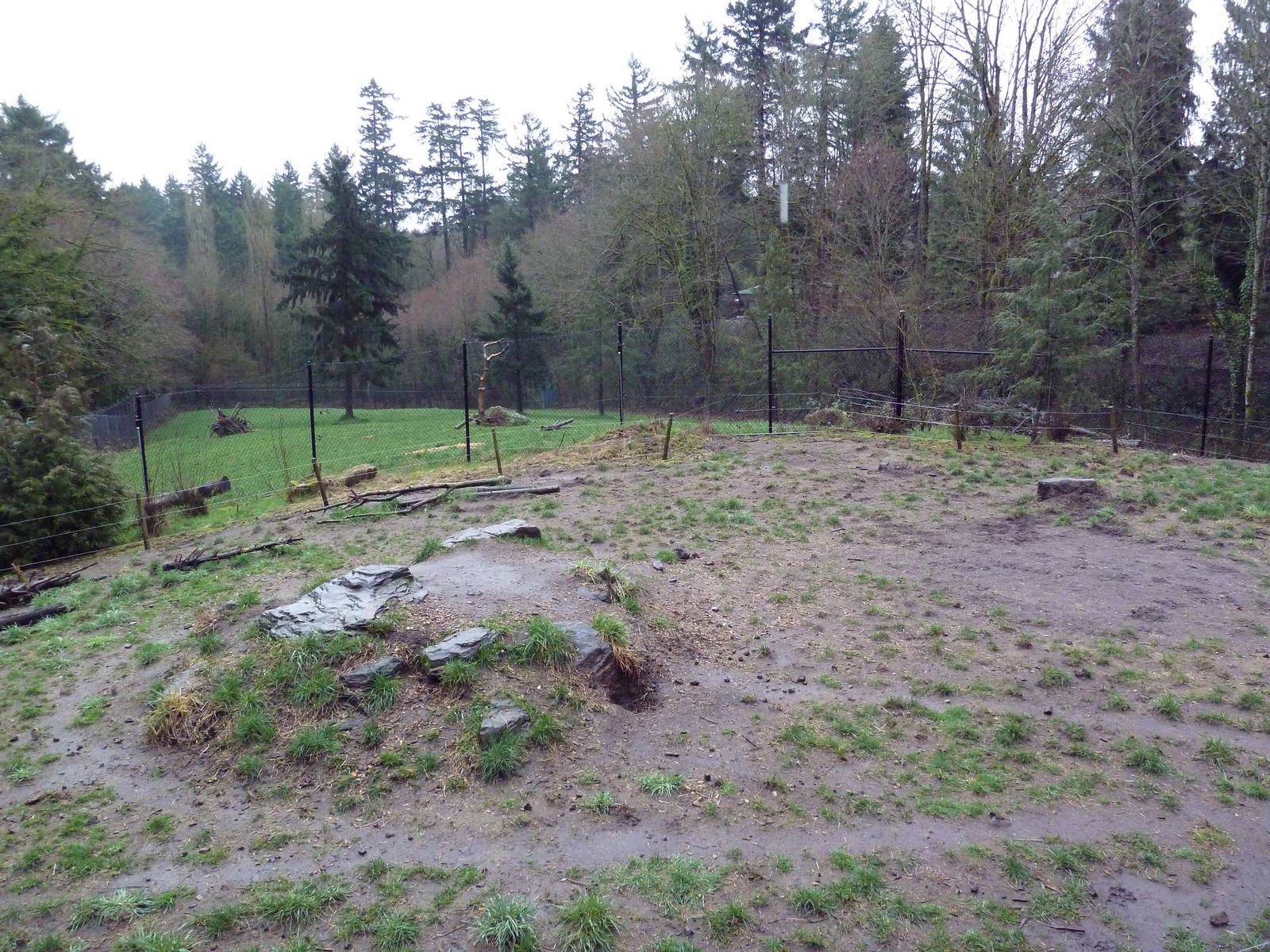 Great Northwest - Wolf Exhibit