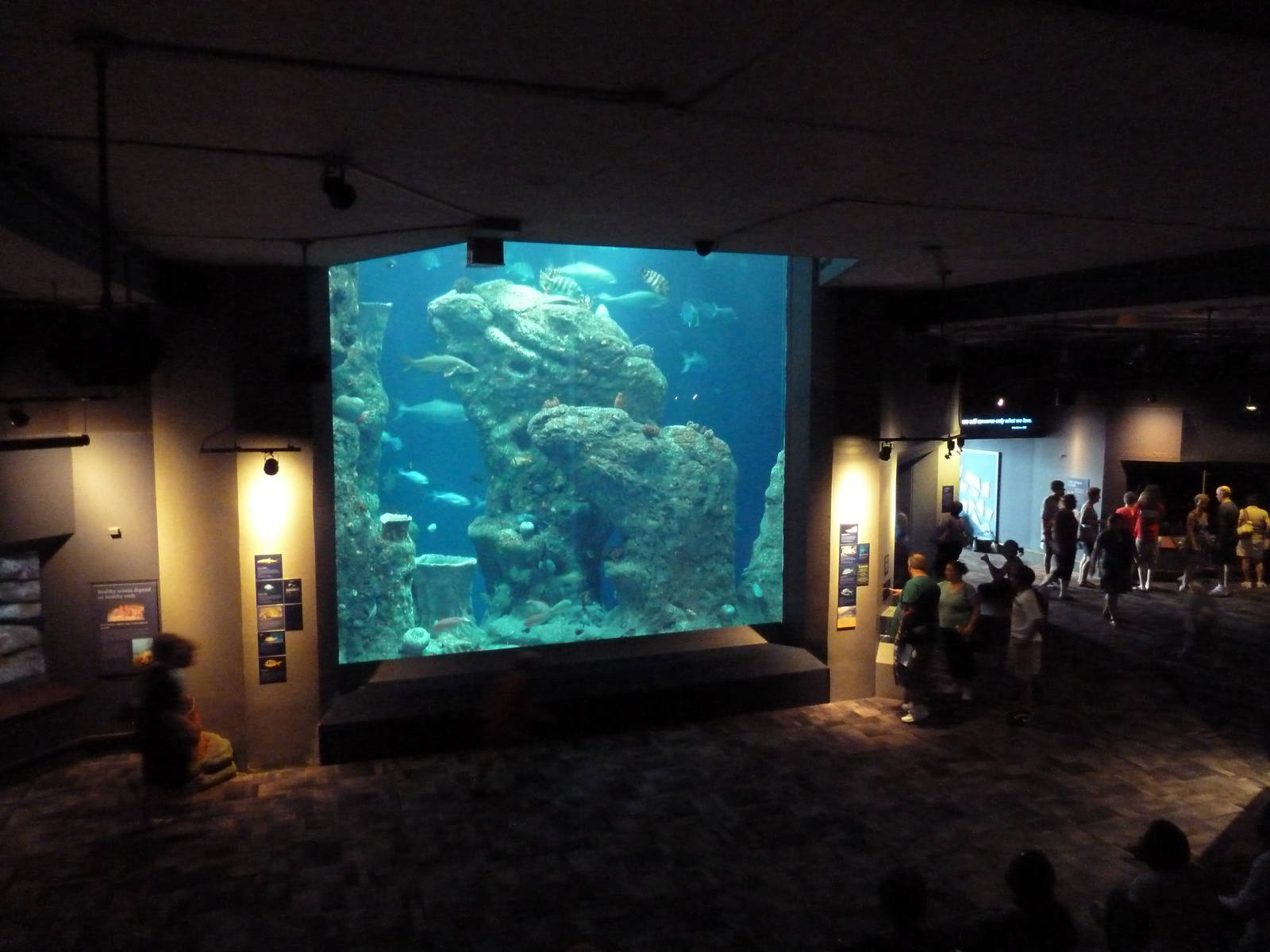 Great Ocean Tank