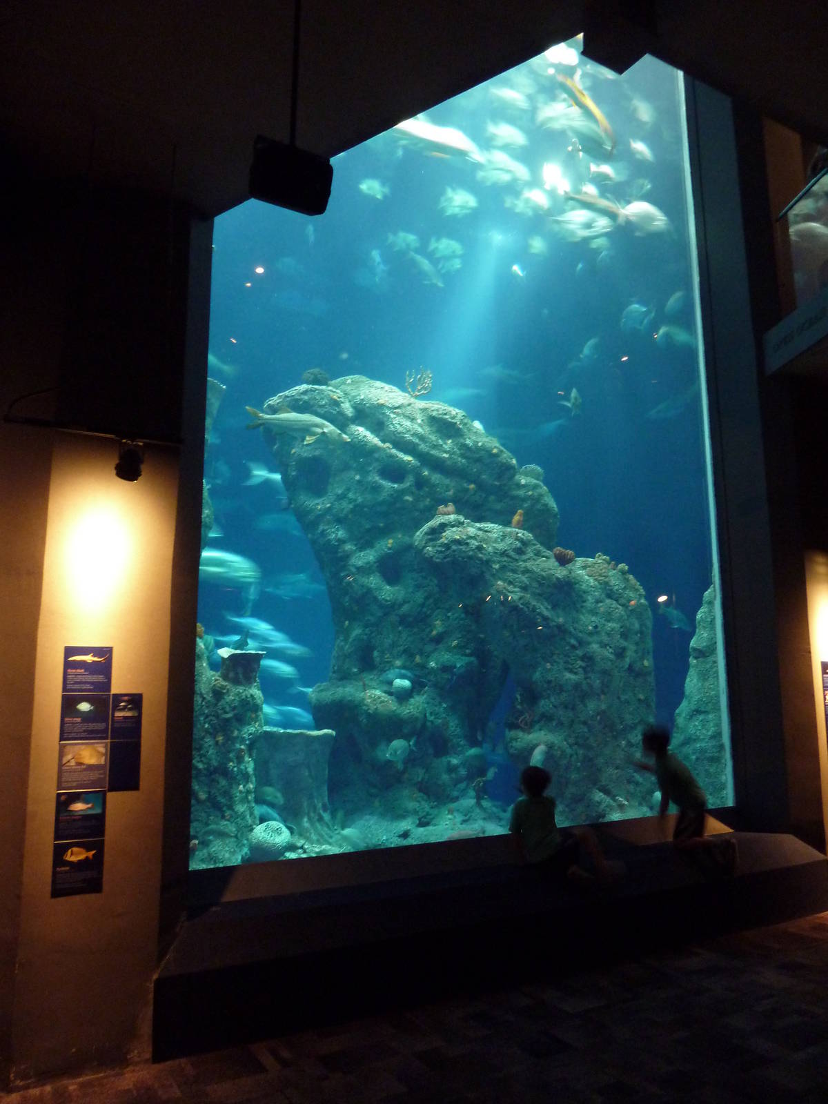 Great Ocean Tank