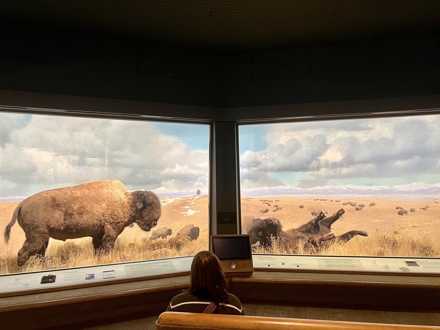 Great Plains Diorama