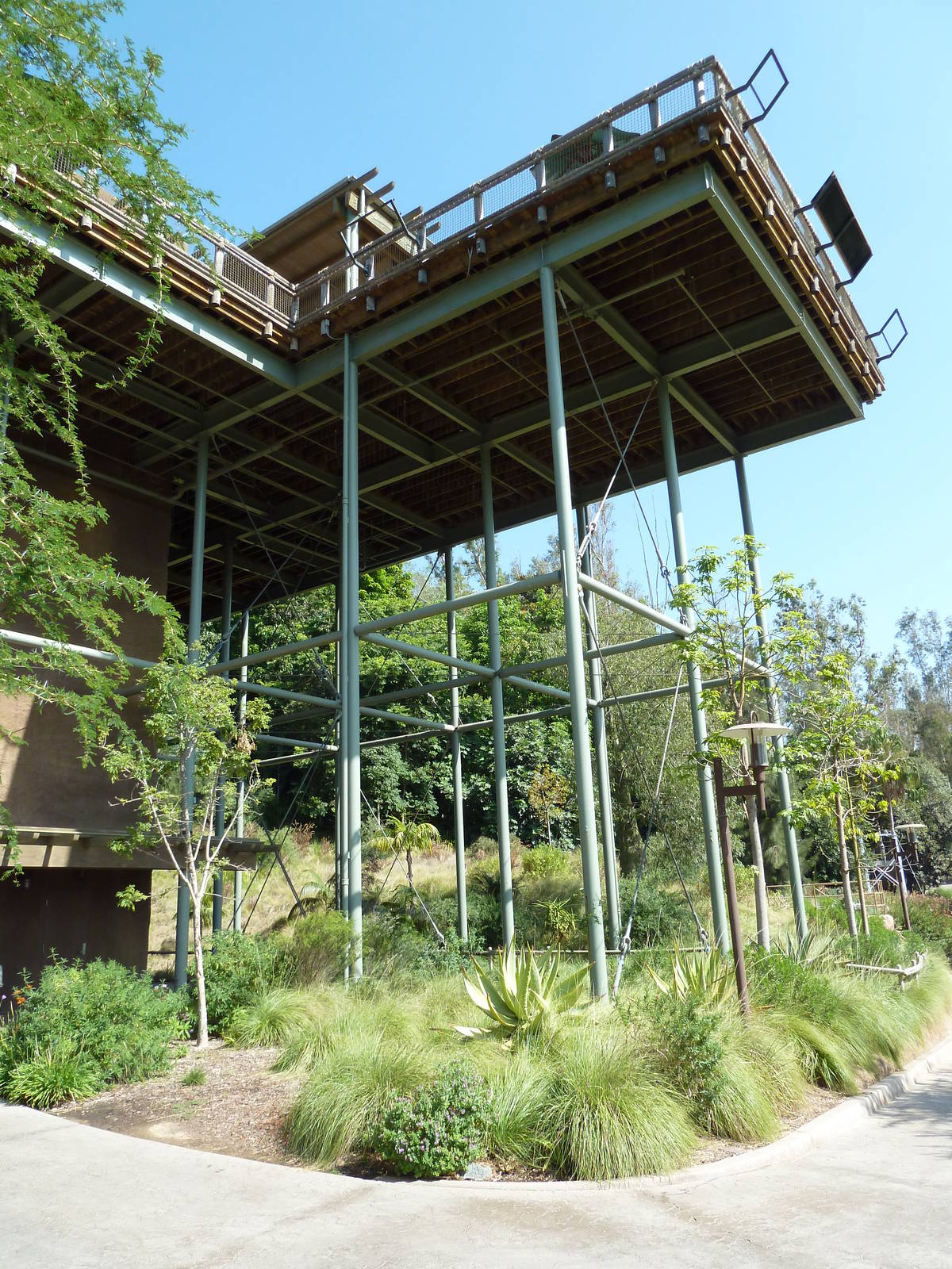 Great Rift Lift Elevator