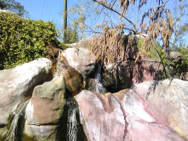 Great Rift Valley Avairy