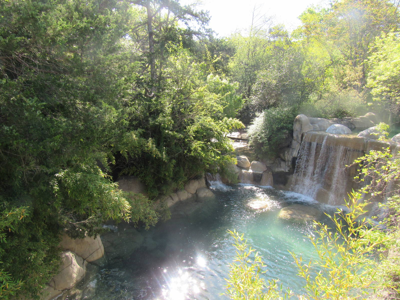 Great Rift Valley Habitat