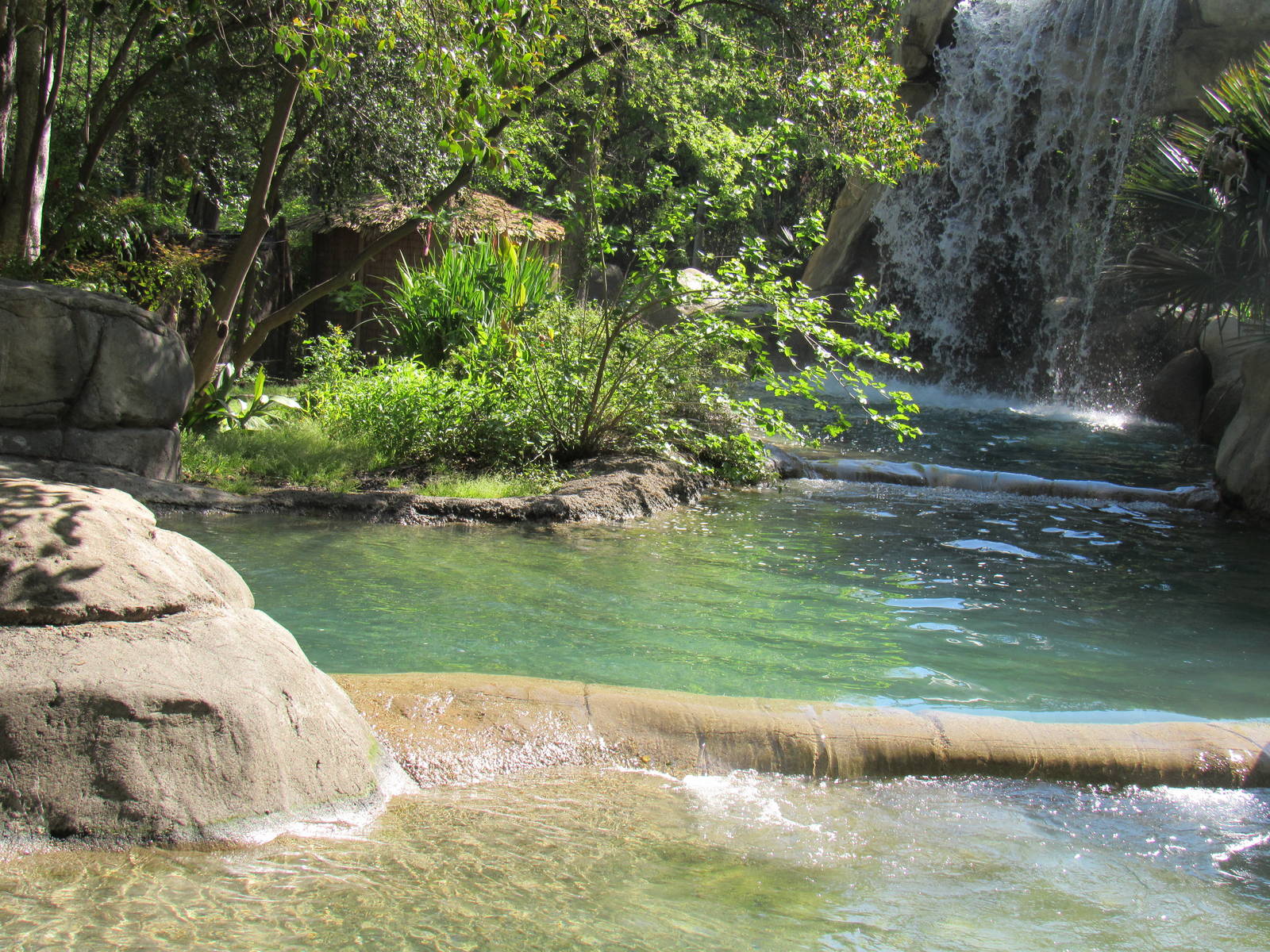 Great Rift Valley Habitat