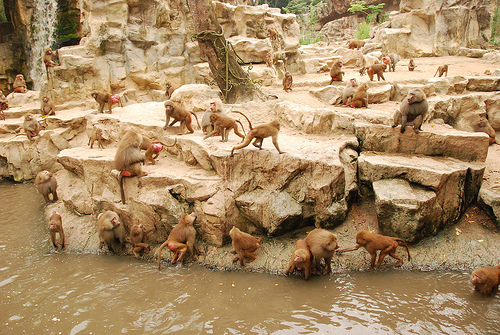 Great Rift Valley of Ethiopia exhibit
