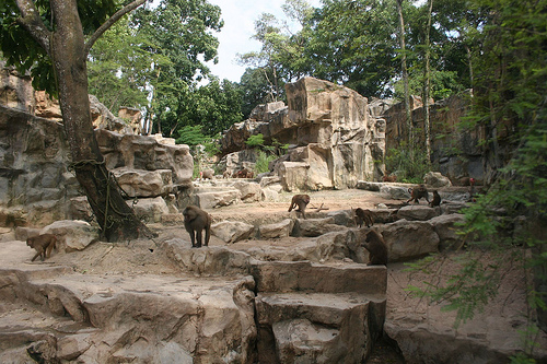 Great Rift Valley of Ethiopia exhibit