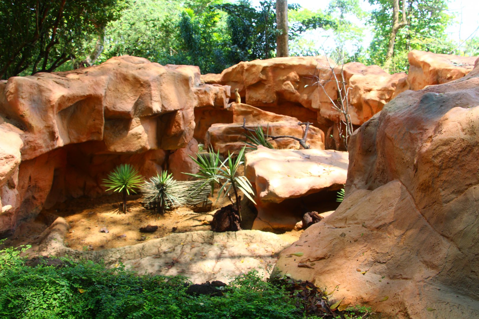 Great Rift Valley of Ethiopia - Meerkat exhibit