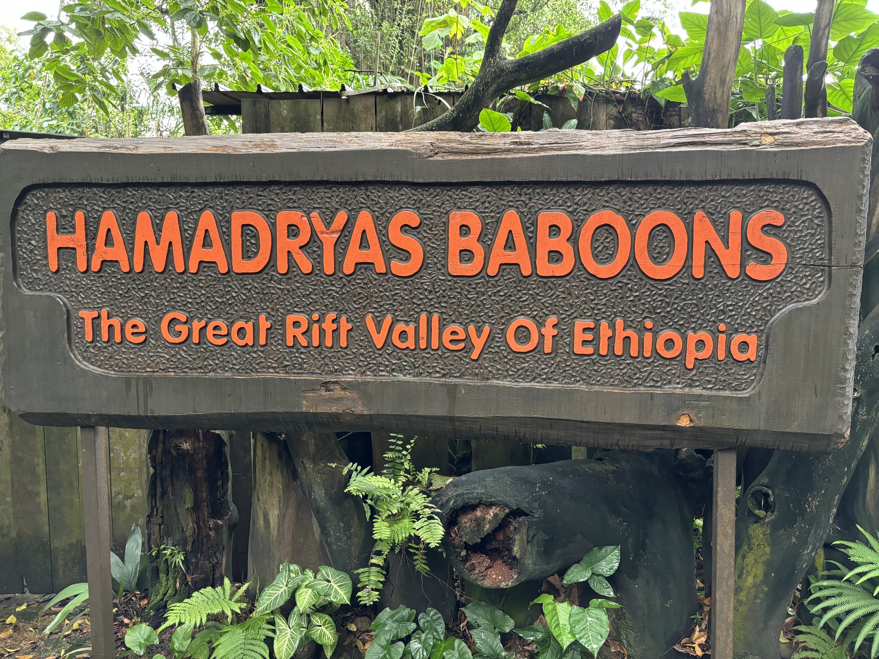 Great Rift Valley of Ethiopia - sign