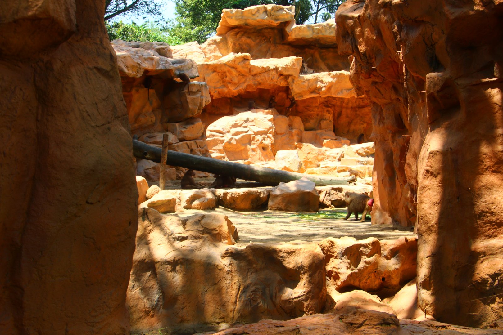 Great Rift Valley of Ethiopia