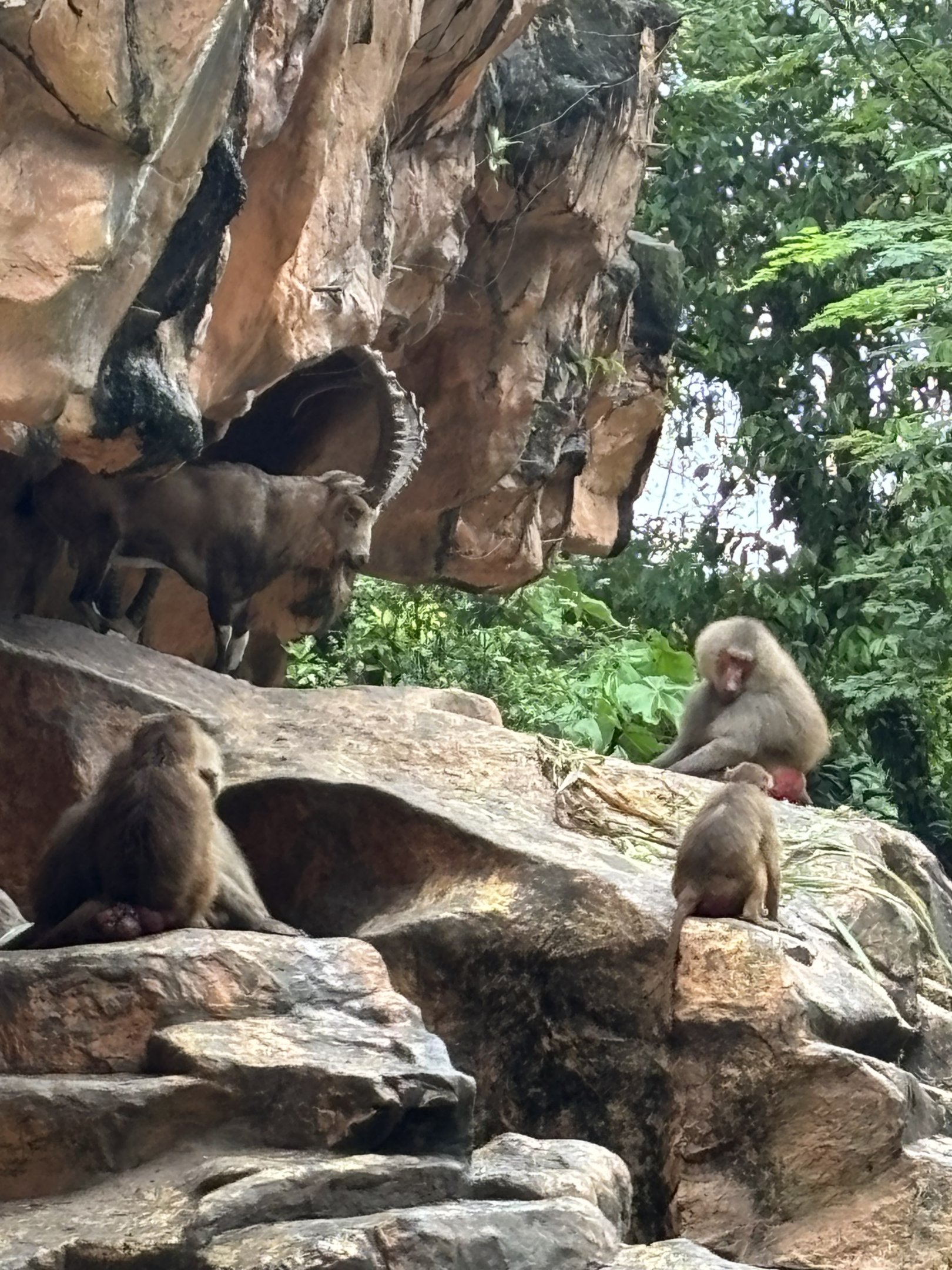 Great Rift Valley of Ethiopia