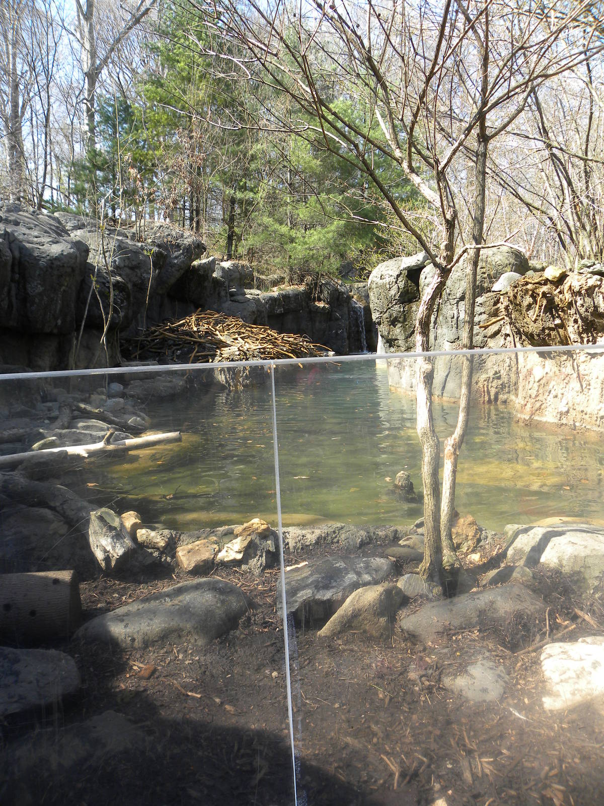 Great river otter exhibit