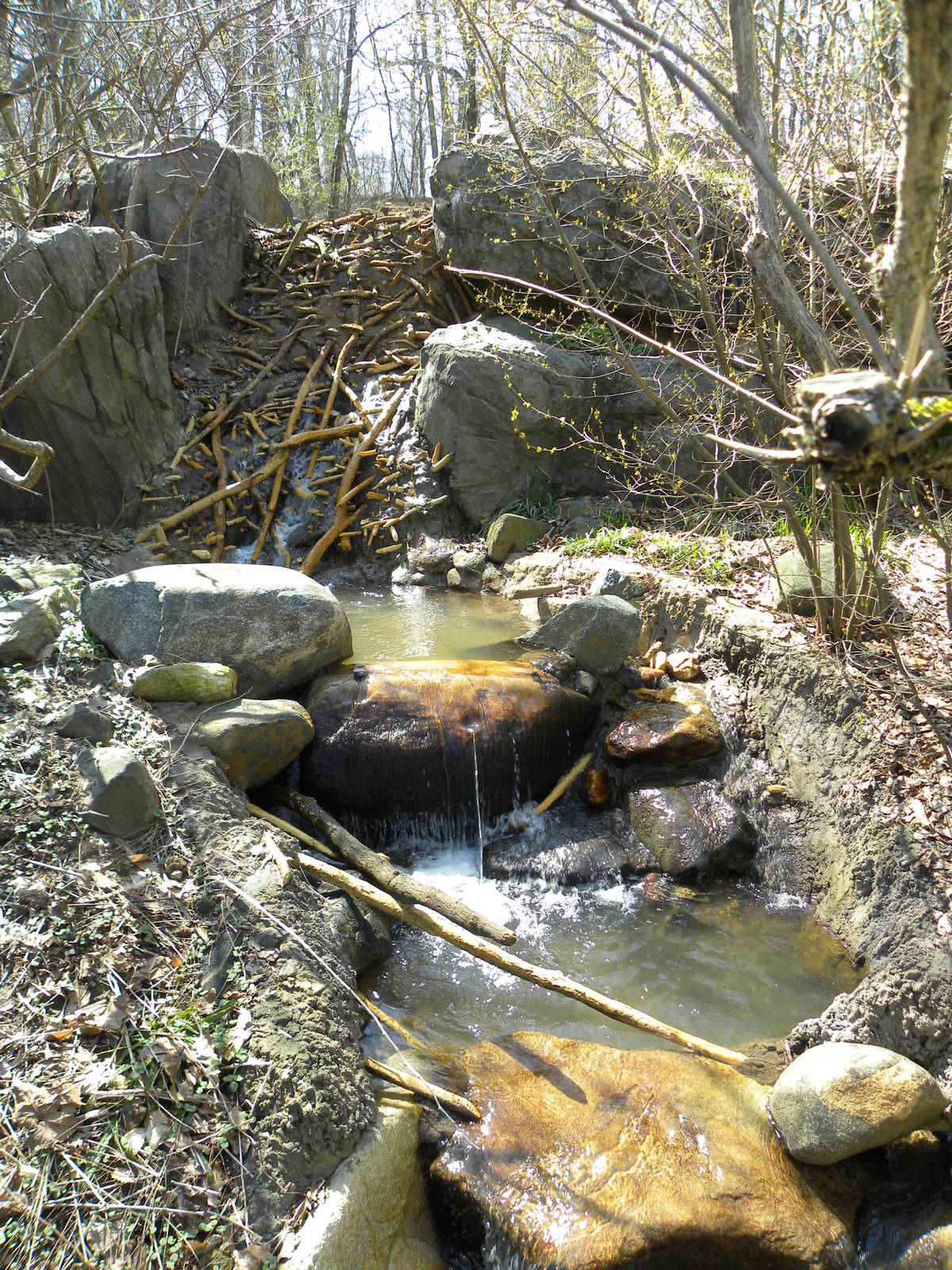 Great river otter exhibit