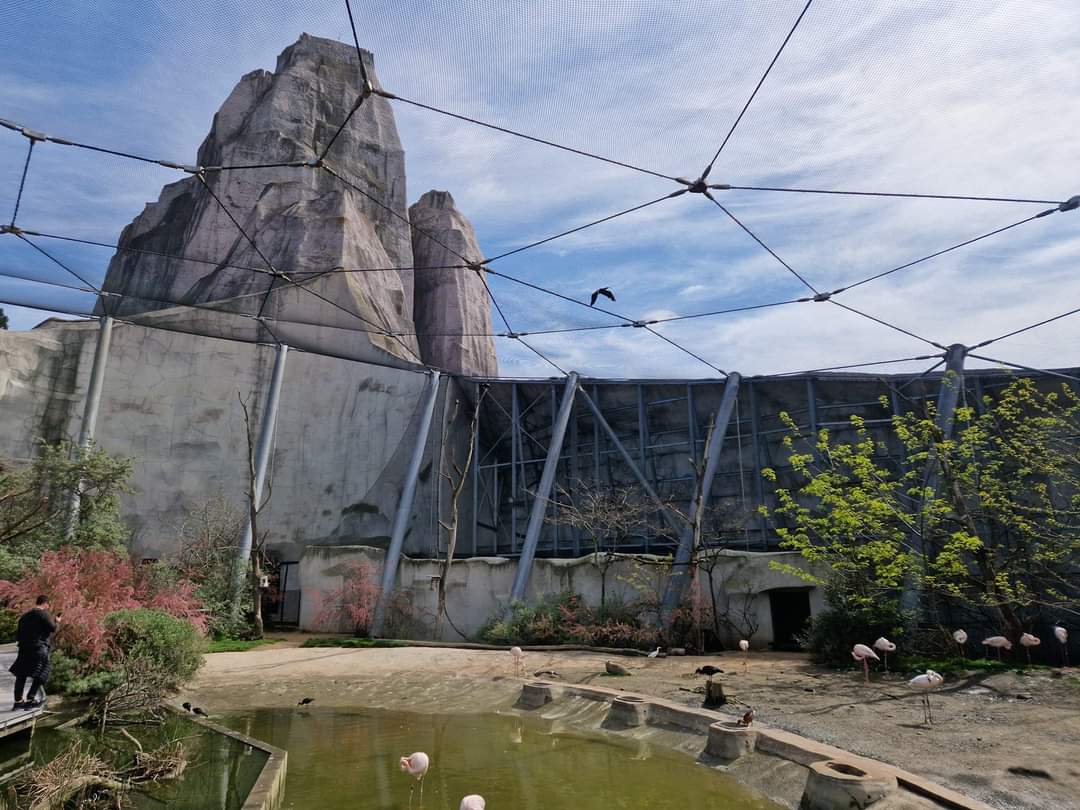 Great Rock African Walkthrough Aviary