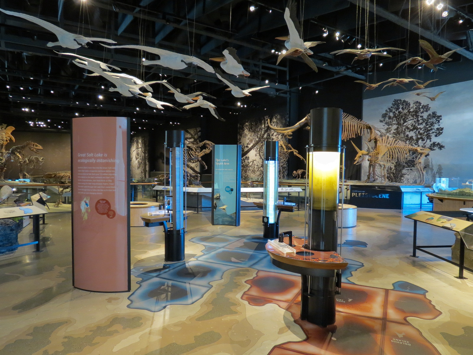 Great Salt Lake Gallery