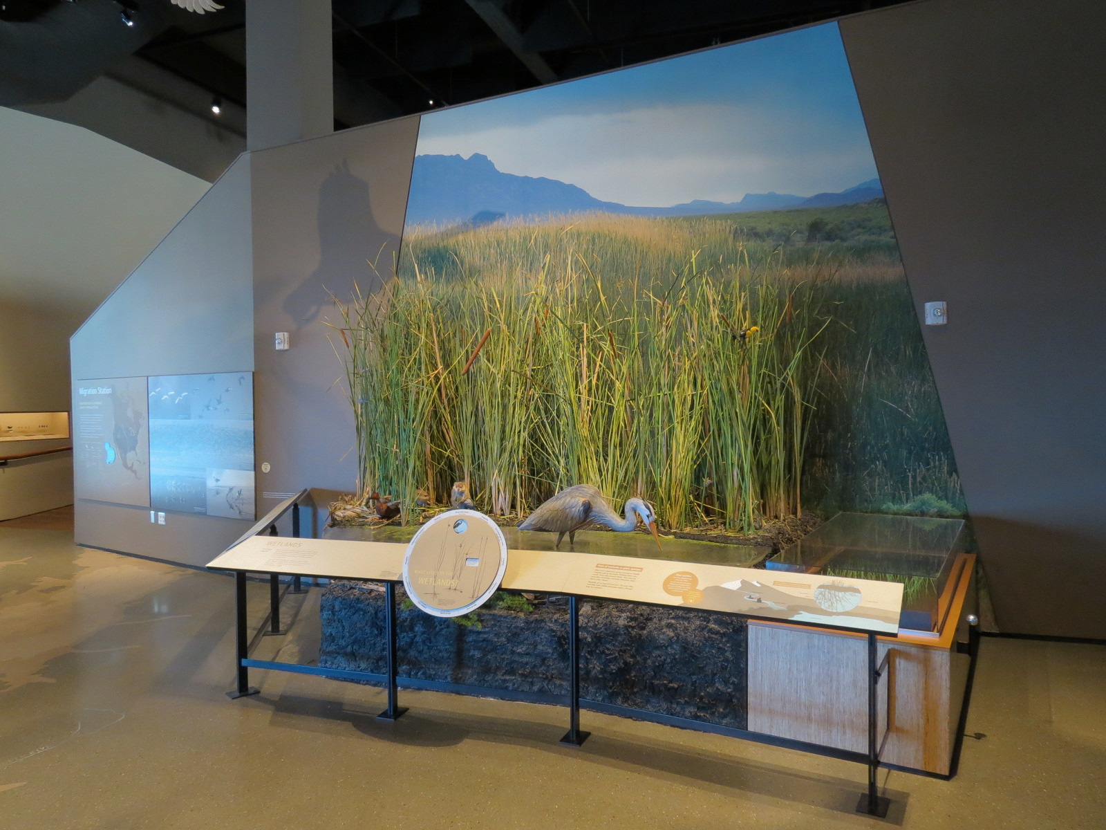 Great Salt Lake Gallery