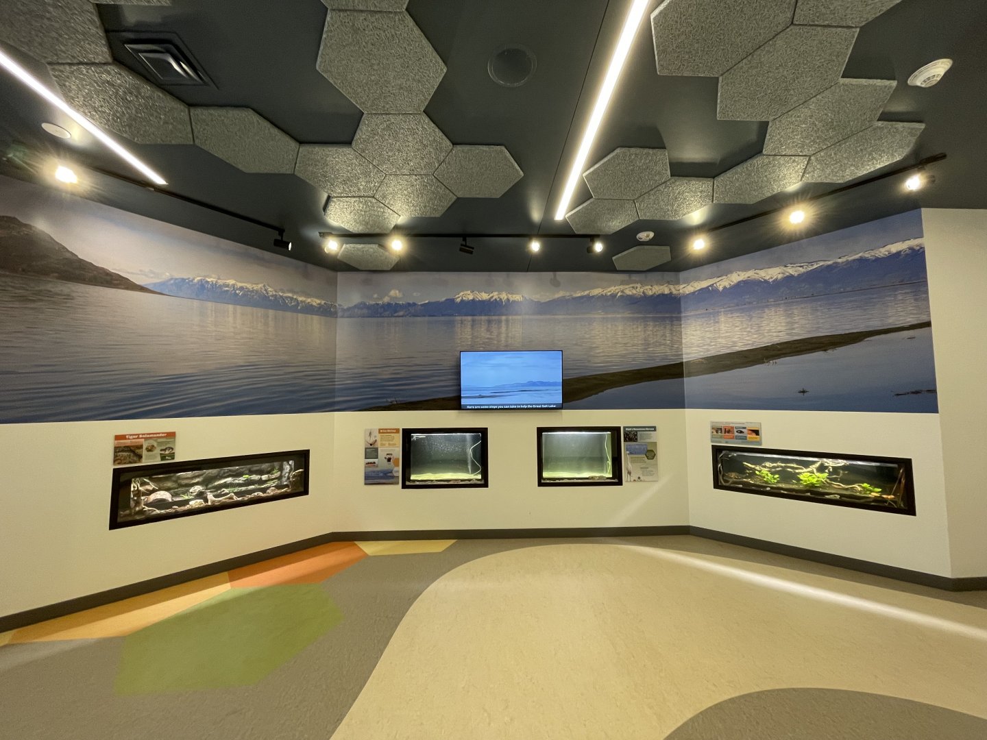 Great Salt Lake Terrariums