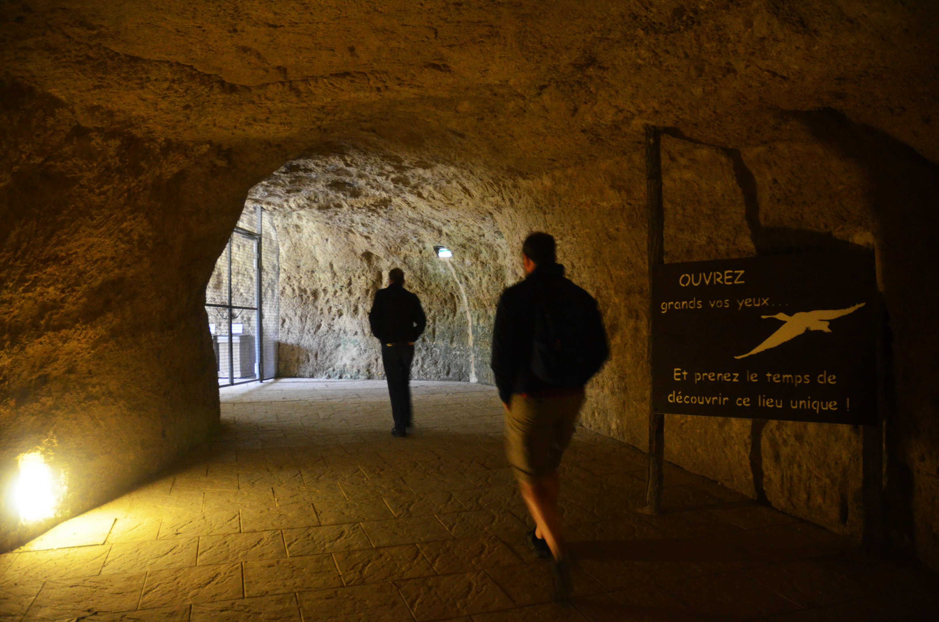Great South American Aviary at Doué-la-Fontaine, 15/06/18