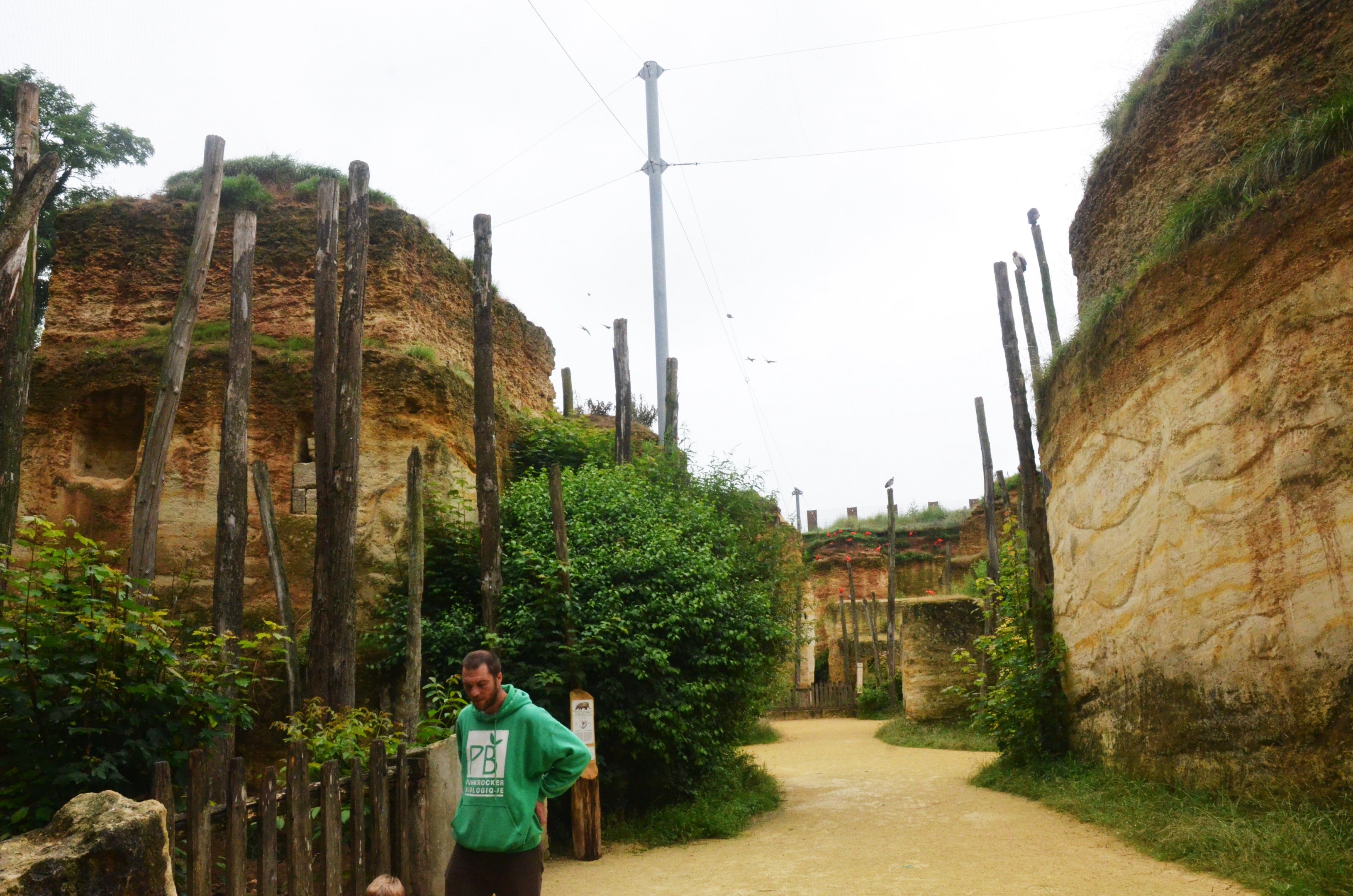 Great South American Aviary at Doué-la-Fontaine, 15/06/18