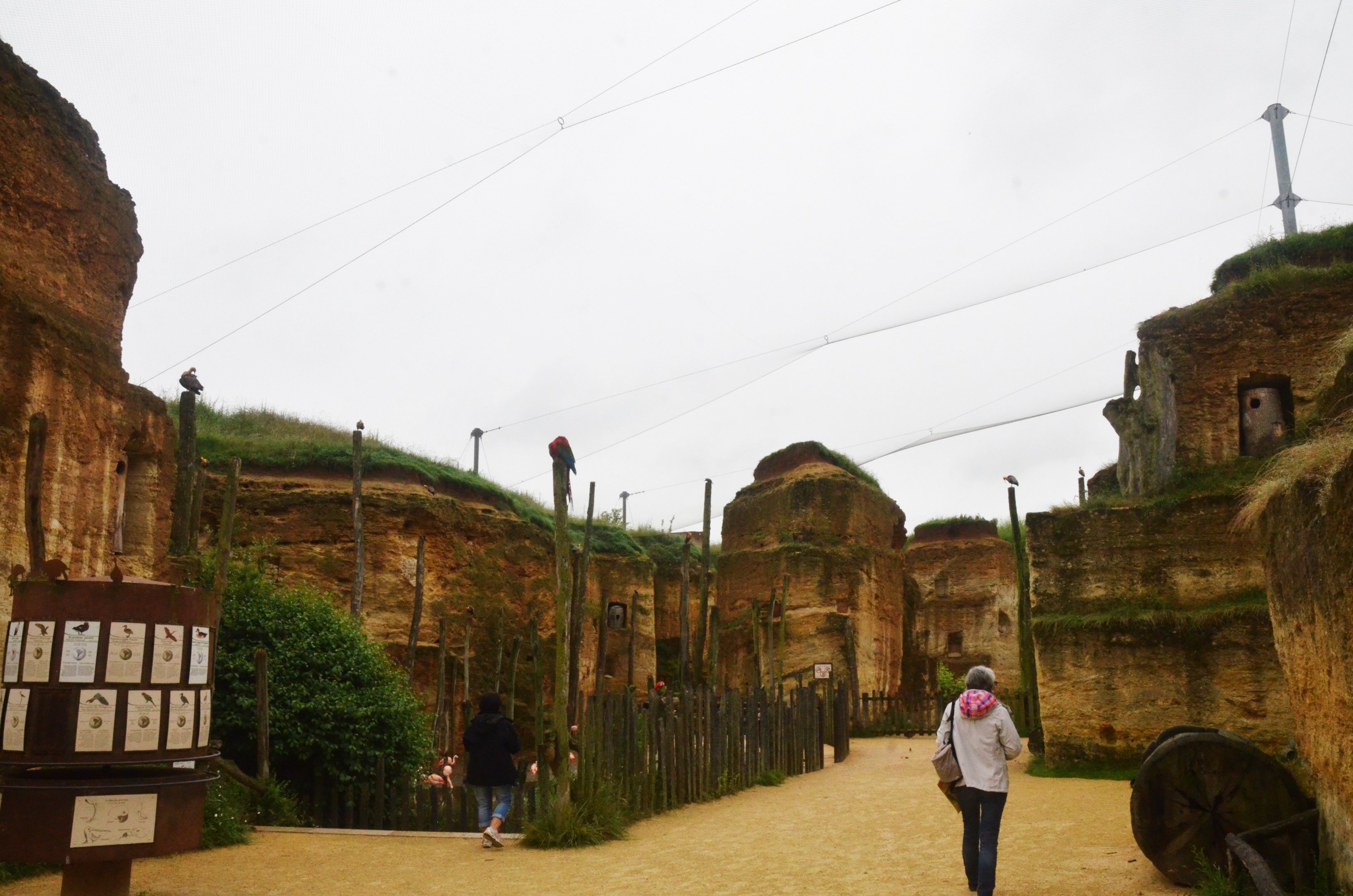 Great South American Aviary at Doué-la-Fontaine, 15/06/18