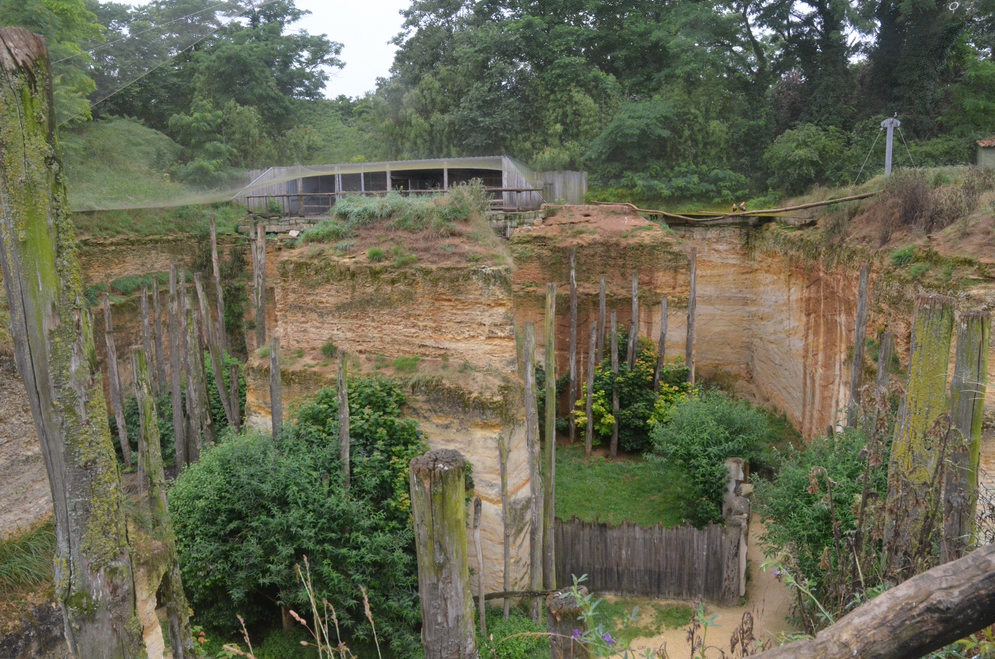 Great South American Aviary at Doué-la-Fontaine, 15/06/18