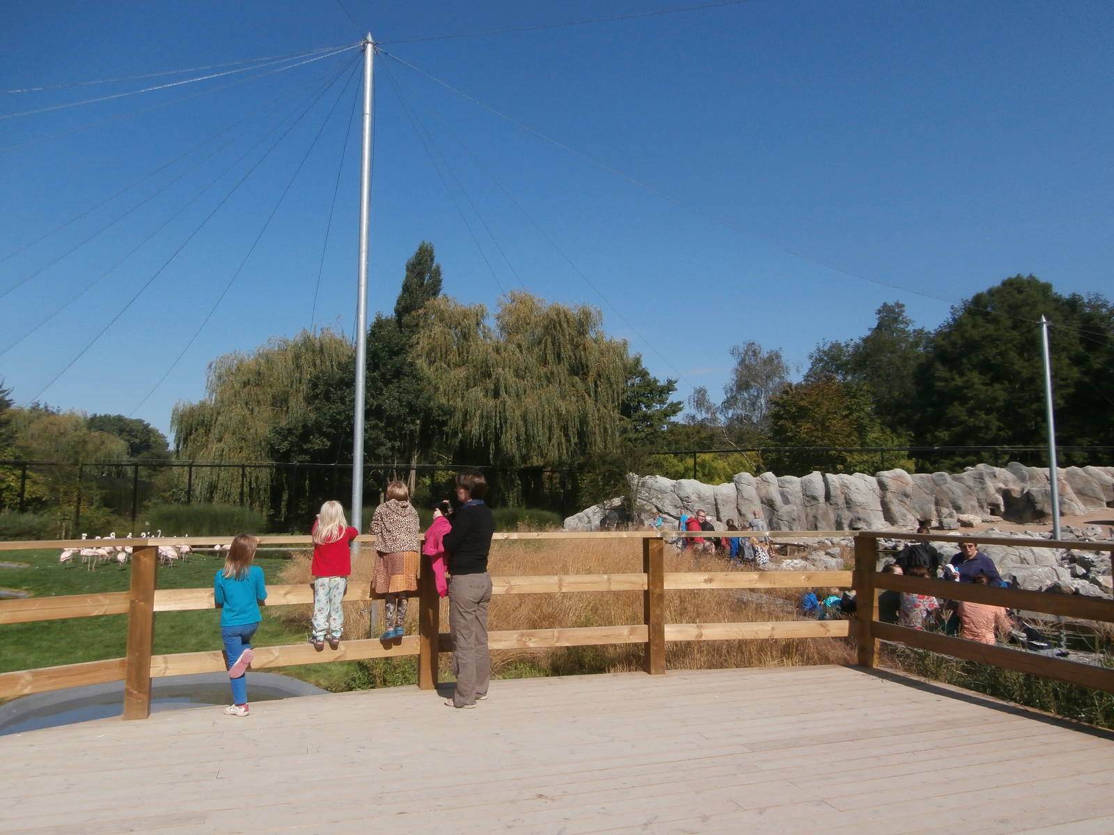 Great South American Aviary