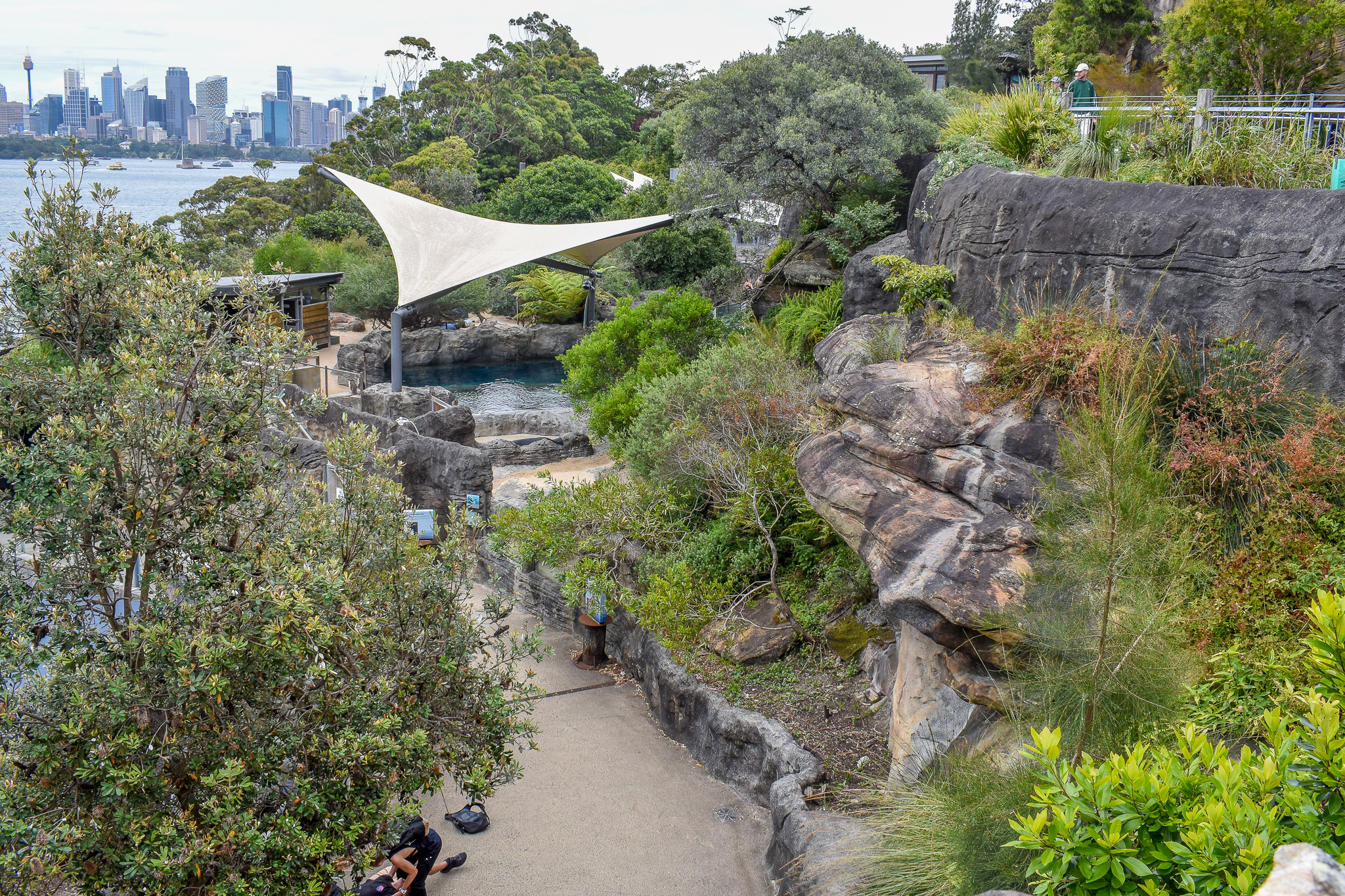 Great Southern Oceans - Fiordland Penguin Enclosure