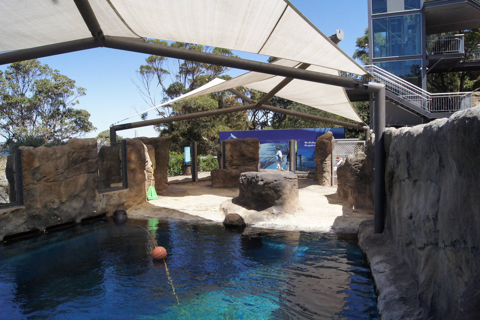 Great Southern Oceans: Leopard Seal,  Land Area + Above Water