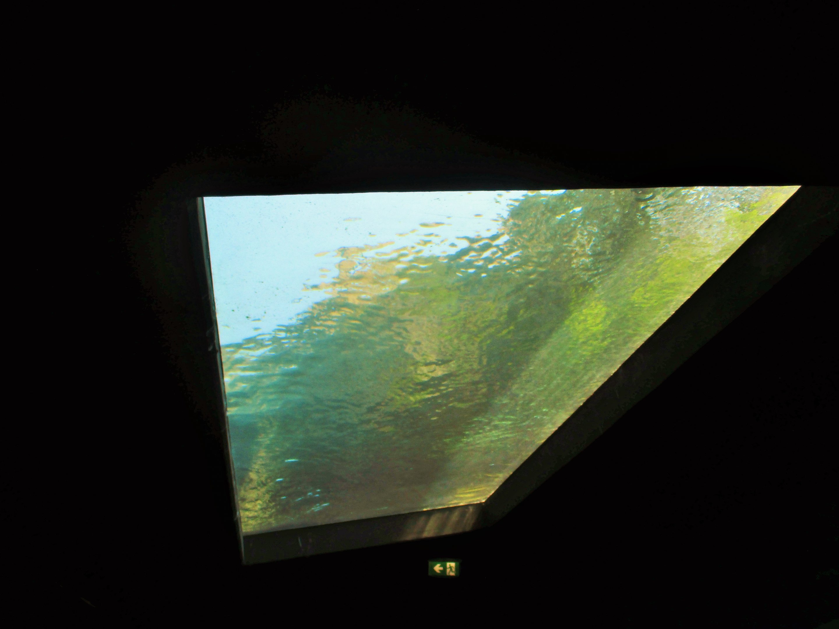 Great Southern Oceans- Overhead Penguin Viewing Window